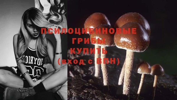 первитин Вязники