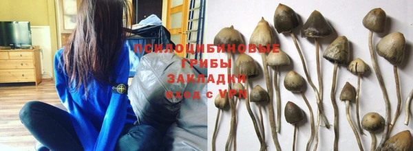 ALPHA PVP Вяземский